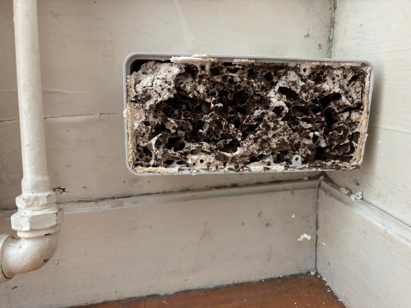 Station interieur pour piégé les termites dans une maison du Cap-ferret en gironde, implanté par les équipes de la société Méa Créations