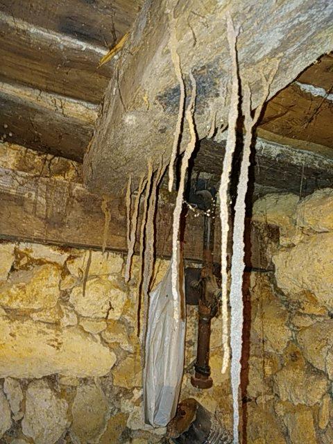 Cordonnées créer par des termites dans la cave d'une maison de bordeaux en Gironde.